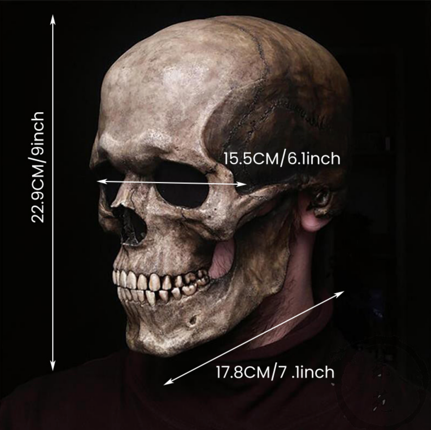 Human Skull Mask with Moving Jaw
